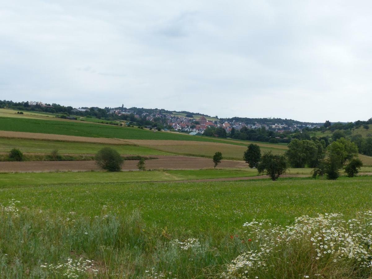 Ferienwohnung Heimsheim Екстер'єр фото